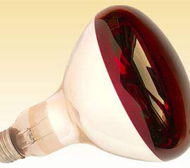 Infrared Bulb
